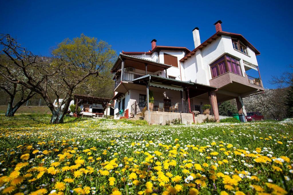 Militsa Guesthouse Naousa  Esterno foto